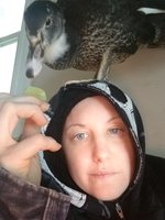 20171119_163238.jpg