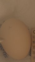JPEG_20171208_140255_1086817232.jpg