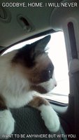 IMG_20161231_0908232_rewind_kindlephoto-2412682.jpg
