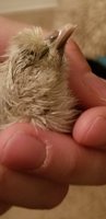 20171208_215058.jpg