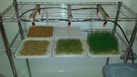 fodder-rack-02.jpg fodder-rack-02.jpg