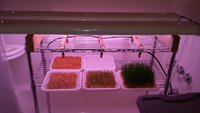 fodder-rack-04.jpg fodder-rack-04.jpg