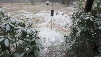 20171209_101138.jpg