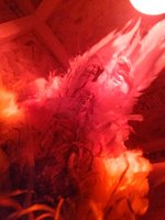 IMG_20171209_182743538_BURST000_COVER_TOP.jpg
