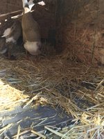 IMG_1305.JPG