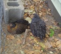 20171102_162332-1.jpg