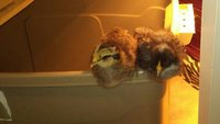 20170917_102546-1-1.jpg