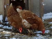 20171210_101453.jpg