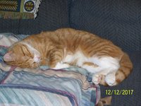 100_1097.JPG