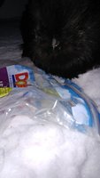 20171212_072148.jpg