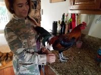 20171210_141034.jpg