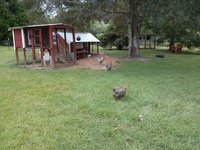 IMG_20170915_154249.jpg