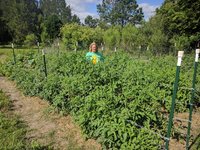 IMG_20170527_092735.jpg