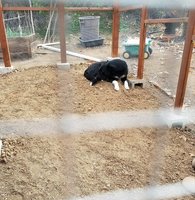 20171204_185035.jpg