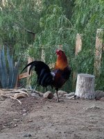 20171213_065012.jpg