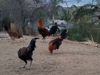20171213_064555.jpg