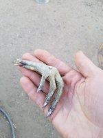 20171210_072610.jpg