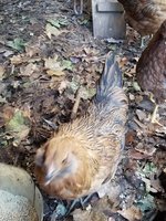 20171121_151610.jpg