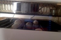 4-up on 15-12-2017 at 7.18 am #3.jpg