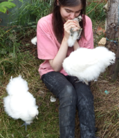 Fluff Attack.png