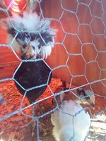 20171214_161211.jpg