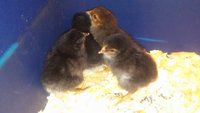 20171024_151538.jpg