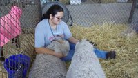 IMG_20171007_093516.jpg