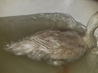 20171216_225718.jpg