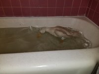 20171216_235236.jpg