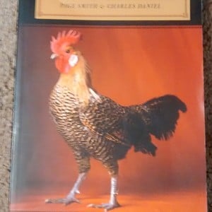 The Chicken Book