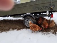 20171217_155935.jpg