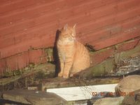 DSCN0485.jpg