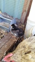 20171219_165710.jpg