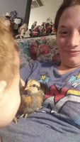 20171219_111411.jpg