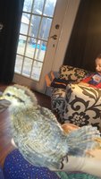 20171219_111910.jpg