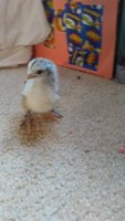 20171219_113712.jpg