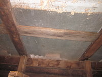 IMG_4374.JPG