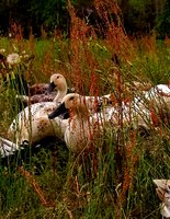 20160816_163343_1471379648506_1471716100674.jpg