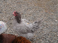 DSCN3556.JPG