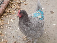 DSCN3557.JPG