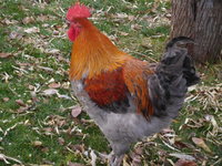 DSCN3574.JPG