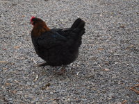 DSCN3568.JPG