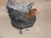 DSCN3578.JPG