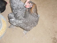 DSCN3583.JPG