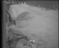 [NetDVR2]Ch0320171211144210.JPG