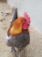 20171213_092714.jpg
