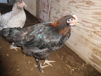 DSCN2262.JPG