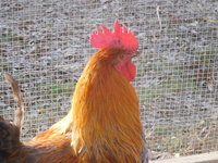 DSCN3651.JPG