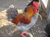 DSCN3653.JPG