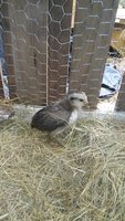 20171220_141556.jpg